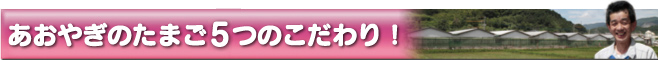 あおやぎのたまご６つのこだわり！