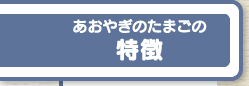 あおやぎたまごの特徴